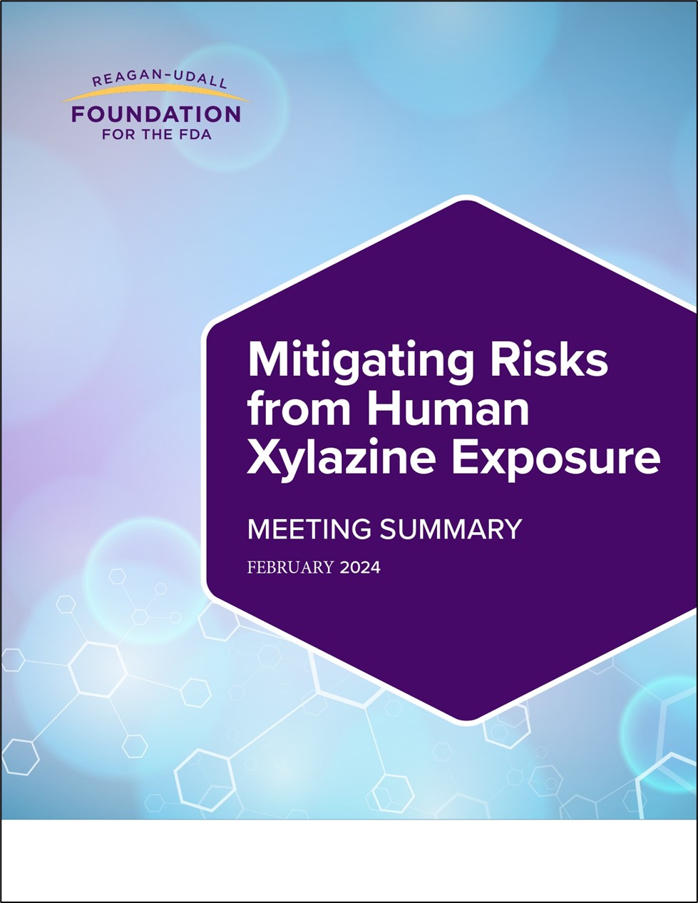 Mitigating Risks Xylazine