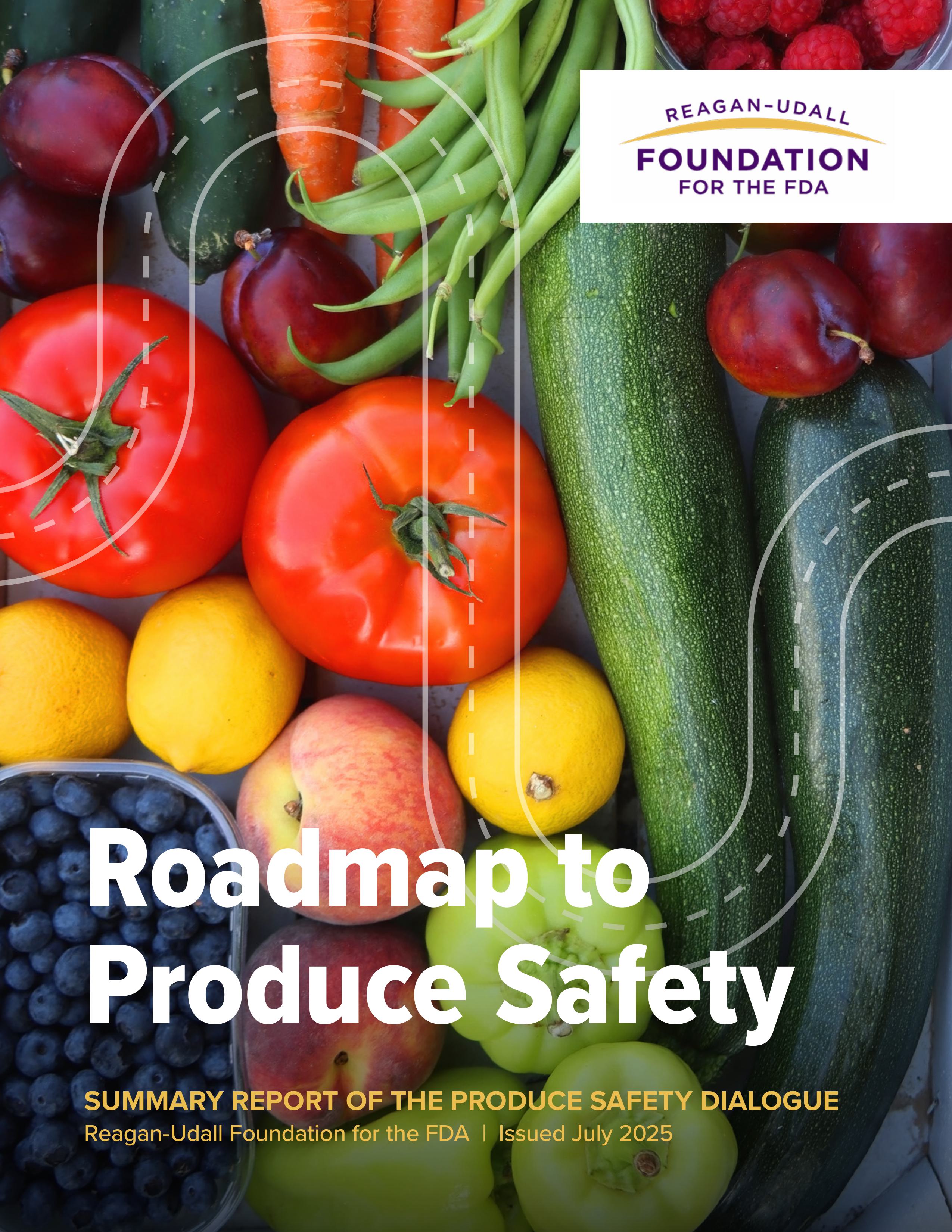 Roadmap to Produce Safety