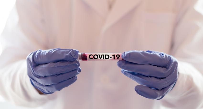 COVID-19 Hub