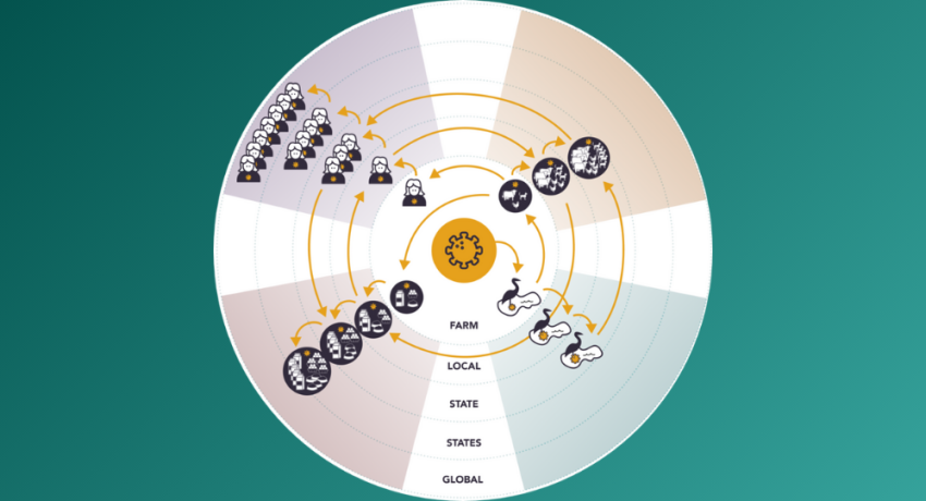 Cross-Sectoral Health