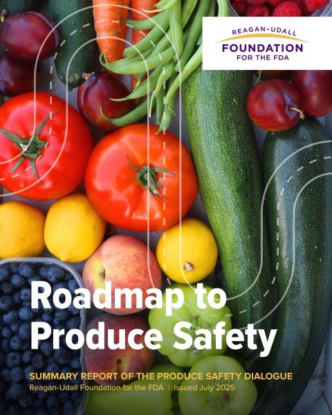 Roadmap to Produce Safety